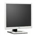 Monitor Fujitsu Siemens B19-5 19 inch